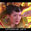 铁树开花代表什么生肖数字